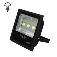 Haute luminosité bon prix coque noire 200W lumière d'inondation publicitaire