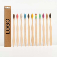 En stock et ODM personnalisable recyclable boîte kraft euro fente écologique gourde forme S doux brosse bambou