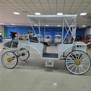Stylish Electric Sightseeing Vehicle Perfect Horse Carriage Wedding Style Park Sightseeing Tour Carriages Special Transportation - Product Image 1