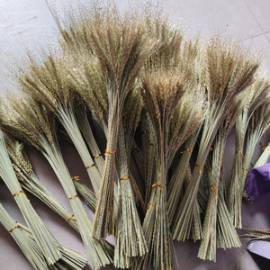 Vente en gros de fleurs séchées de haute qualité pour la décoration intérieure Bouquet de blé oreille séchée naturelle - Product Image 5
