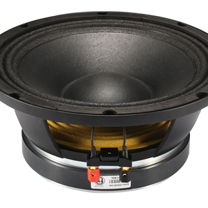 Loa Trầm 10 Inch, Loa Chuyên Nghiệp 10 Inch Hàng Đầu - Product Image 1