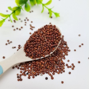 Graines de <span class=keywords><strong>quinoa</strong></span> précuites de couleur rouge saine Offre Spéciale <span class=keywords><strong>prix</strong></span> d'acheteur - Product Image 4