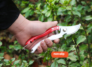 Dụng Cụ Cắt Tỉa Cây Bỏ Qua Dụng Cụ Cắt Tỉa Cầm Tay Dụng Cụ Cắt Tỉa Cây Bụi Dụng Cụ Cắt Tỉa Trái Cây Sắc Bén - Product Image 5