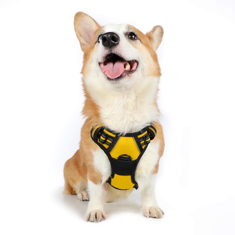 Amarillo