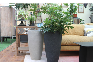 Venta directa de fábrica Esmerilado Espesado Simple Gran diámetro Planta verde de gran tamaño Maceta de plástico - Product Image 5