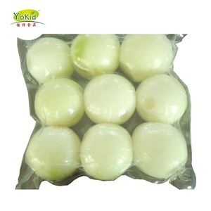 Xuất Khẩu Hành Tây New Zealand Sang <span class=keywords><strong>Dubai</strong></span> - Product Image 3