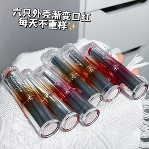 HERORANGE Lápiz Labial Mate de 6 Colores, Lápiz Labial Hidratante con Base de Miel, Brillo Labial, Maquillaje Cosmético para Labios - Product Image 2