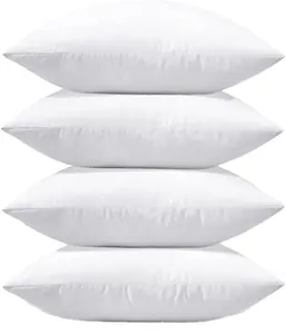 Yatak atmak yastıklar eklemek (2 paket, beyaz)-20x20 inç yatak ve kanepe yastıklar-kapalı dekoratif yastıklar