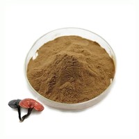 Poudre d'extrait de champignon Reishi de qualité supérieure, 30% de polysaccharides, poudre d'extrait de champignon Ganoderma Lucidum