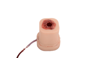 Hình trụ gunshot vết thương đóng gói huấn luyện viên Silicone <span class=keywords><strong>Bullet</strong></span> vết thương mô hình - Product Image 4