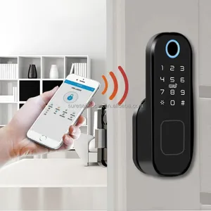 TTLOCK APP remote WiFi electric fingerprint smart digital Rim door lock for out door gate lock