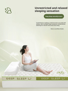 Colchón Ortopédico de Espuma Viscoelástica, Transpirable, de Poliéster, Suave, Duradero, con Soporte y Alivio de Presión, Tamaño Queen, para Hotel - Product Image 1