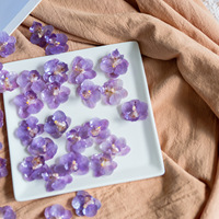 Ornamen Resin Mini anggrek kering asli alami anting-anting Resin bunga kering diawetkan