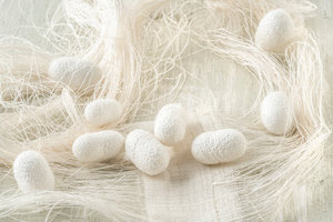 Hilo de Seda de Morera Natural 100% Orgánico de Alta Calidad, Material de Seda Cruda de Lujo de Fabricante Vietnamita, Precio al por Mayor - Product Image 6