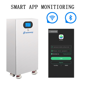 SMS 51,2 V 15kWh Солнечная литиевая батарея 48V 51,2 V 280Ah 300Ah 314Ah 15kwh Солнечная система портативная батарея LiFePO4 - Product Image 4