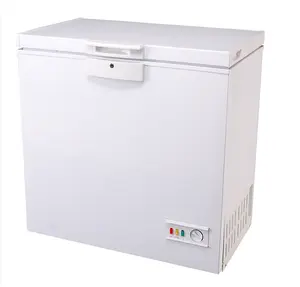 China Cheap Upright Electric Manual Frost Mini Home Freezer for Sale