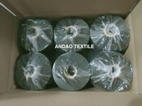 Filament texturé en polyester DTY 450D 144F DDB HIM AA pour le tricot, le tissage et la couture