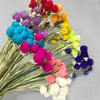 Fleurs de gomphrena rouge séchées du Yunnan Liviflo, Gomphrena Globosa, 50-60 cm, haute qualité, pour la décoration florale de la Saint-Valentin
