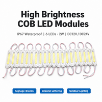 Module LED COB étanche IP65, guirlande lumineuse à 6 LED avec lentille, DC 12V, rétroéclairage pour enseignes publicitaires, éclairage résidentiel et commercial