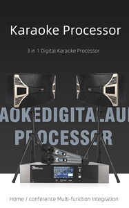 Nuoxun MS-601, haut-parleur karaoké portable professionnel, amplificateur de puissance, microphone, ensemble complet KTV, <span class=keywords><strong>120</strong></span> dB <span class=keywords><strong>SPL</strong></span> max - Product Image 2