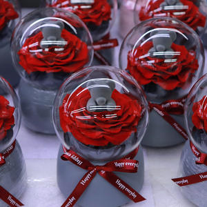 Rosas Eternas Conservadas Individuales, Rosas Reales Conservadas, Flores Eternas, Rosas Conservadas en Cúpula de Cristal con Led - Product Image 6