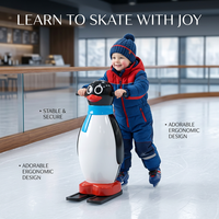 Panneaux de glace synthétique UHMWPE, panneaux de patinoire artificielle pour l'entraînement au hockey sur glace dans les cours d'écoles