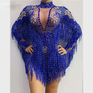 Body con Frange Trasparenti e Strass Blu Argento, Maniche Lunghe, <span class=keywords><strong>Costume</strong></span> da Spettacolo per Cantanti e Ballerine - Product Image 1