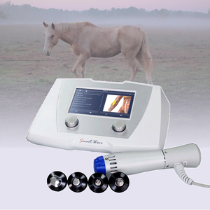 BS-SWT2X इक्वाइन उपयोग पशु और पशु चिकित्सा बिजली मालिश चिकित्सा उपकरण - Product Image 3