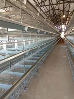 Cage à poules pondeuses multi-niveaux de type H, à haute densité, en acier galvanisé à chaud, pour économiser de l'espace