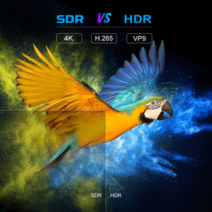 Dispositivo de Streaming TV98 Allwinner H313 Quad Core 8K Premium para Android 12 <span class=keywords><strong>Pro</strong></span> Set Top <span class=keywords><strong>IPTV</strong></span> Box, Venta al Por Mayor - Product Image 3