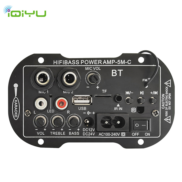 Customizable SF5 220V Digital Amplificador Board Double Microphone Karaoke Audio Player Receivers & Amplifiers for Home Use
