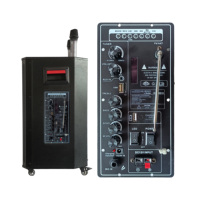 Module d'amplificateur de puissance à plaque Audio Pro, Module d'amplificateur de puissance le plus récent avec télécommande