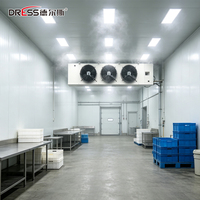 Unidad de Refrigeración Industrial Grande para Cámaras Frigoríficas, Completa con Compresor Copeland Scroll para Almacenamiento en Frío, Venta al por Mayor