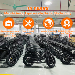 Fabricant OEM Fournisseur de Vélo Cargo Électrique 48V65AH Double Batterie Frein à Disque Hydraulique Suspension Intégrale Vélo Électrique pour Livraison Urbaine - Product Image 5
