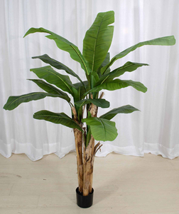 Plante artificielle <span class=keywords><strong>Musa</strong></span> Basjoo de haute qualité en pot, effet réaliste, faux arbre <span class=keywords><strong>Musa</strong></span> Basjoo en pot pour la décoration de la maison, du magasin ou du bureau - Product Image 5