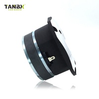 Usine nouveau design super aigus tweeter haut-parleur haute puissance 500W Modification voiture Tweeter(TB-S22)