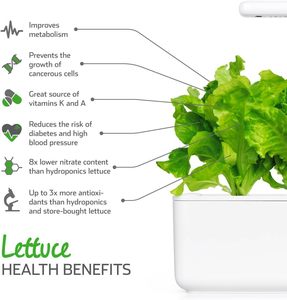 <span class=keywords><strong>Click</strong></span> <span class=keywords><strong>and</strong></span> <span class=keywords><strong>Grow</strong></span> Paquete de 3 vainas de plantas de bambú Smart Garden Fresh Greens Easy Home Grown Lechuga Zero Effort Macetas y jardineras - Product Image 1