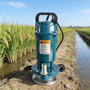 Pompe à eau submersible électrique à moteur pour puits profond agricole, pour transfert de liquides, prix usine, vente chaude - Product Image 1