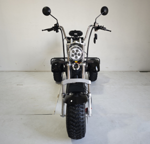 Triciclo Eléctrico Citycoco de Tres Ruedas con Neumáticos Anchos, Scooter Eléctrico de Tres Ruedas, Carro de Golf Eléctrico Citycoco, Disponible en Almacenes de EE. UU./UE - Product Image 6