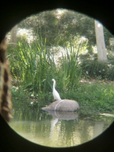 Optique FMC 80mm 20-60x Zoom Longue-Vue Étanche Observation Des Oiseaux Paysage De La Faune Oculaire De Chasse Avec Trépied Étui De Transport - Product Image 4