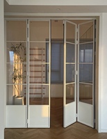 Fenêtres en verre à rupture de pont thermique de style européen vintage, à cadre en acier, horizontales, pour maison moderne, isolation thermique, insonorisation