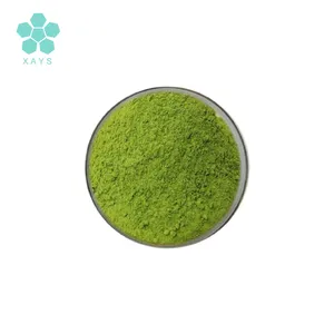 YoushuoBio Cosmetic Ziziphus Powder Jujube Leaf Powder Qasil Sidr Powder