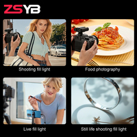 Flash portable professionnel mini Speedlite pour appareil photo avec batterie rechargeable intégrée, lampe de poche pour photographie