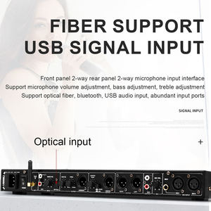 OEM-procesador de Audio Digital REV3800, prereceptor KTV con dos micrófonos, para fiesta en casa, boda y <span class=keywords><strong>Karaoke</strong></span>, gran oferta - Product Image 4