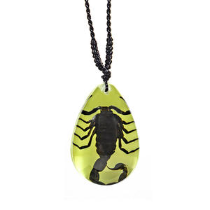 Collar de escorpión ámbar de insectos de espécimen real de resina luminosa con gráficos bordados - Product Image 3