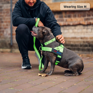 <span class=keywords><strong>Harnais</strong></span> pour <span class=keywords><strong>chien</strong></span> vert néon Conception sans étranglement réglable avec patch de nom personnalisé <span class=keywords><strong>Harnais</strong></span> pour animaux de compagnie doux et confortable léger - Product Image 5