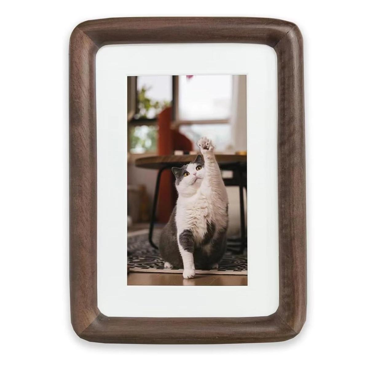 แสดงเป็น