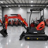 Offre Spéciale Mini-Excavatrice 2,5 Tonnes CE EPA EURO 5 Kubota à Chenilles en Caoutchouc, OEM Chinois Personnalisé pour la Construction Agricole