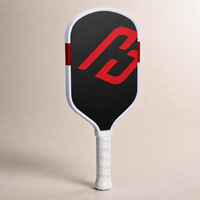 Raquette de pickleball portable en fibre de carbone T700 de haute qualité pour équipement et accessoires de style pro pour projets LABS
