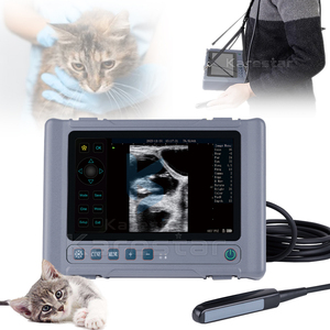 Échographie vétérinaire Premium B pour le contrôle des jeunes animaux d'élevage, échographie noir et blanc - Product Image 1